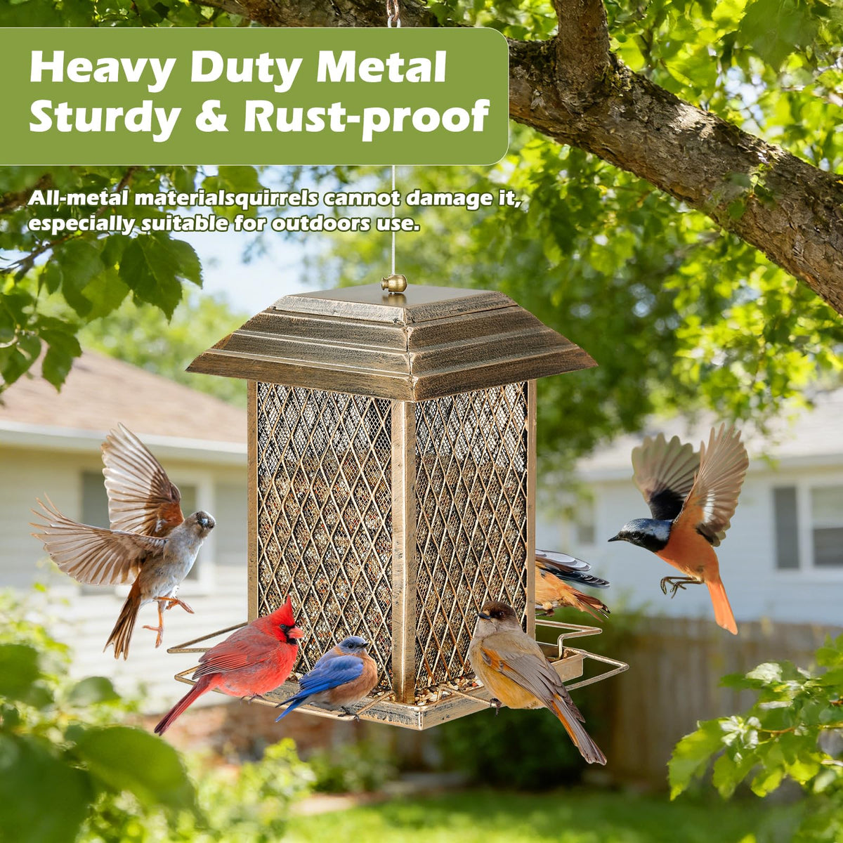 IWNTWY Bird Feeder large capacity keeps seeds available longer