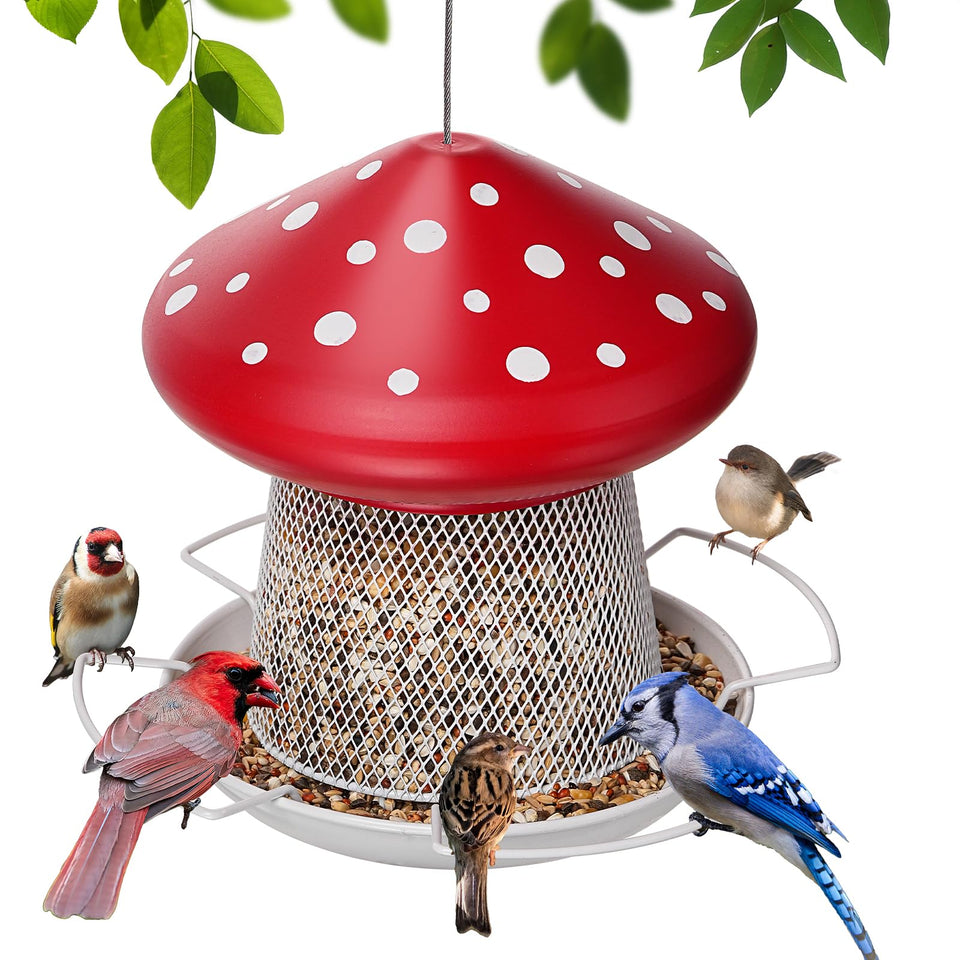 IWNTWY Bird Feeder front view, red mushroom design attracts songbirds.
