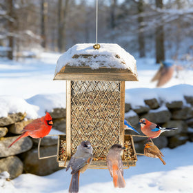 IWNTWY Bird Feeder outdoor hanging design suits porches and patios