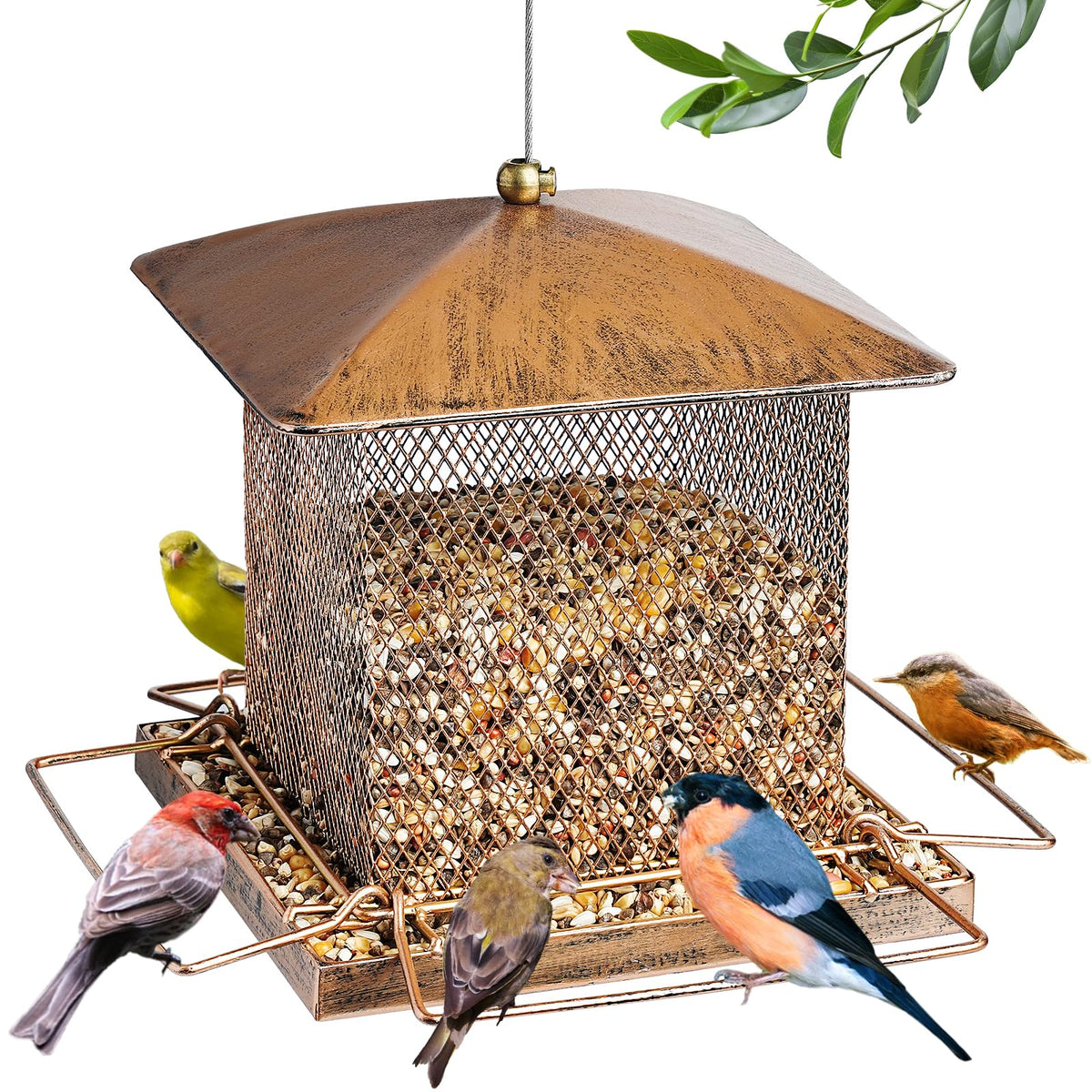 IWNTWY bird feeder with retro oriental shape enhances close birdwatching in the yard.