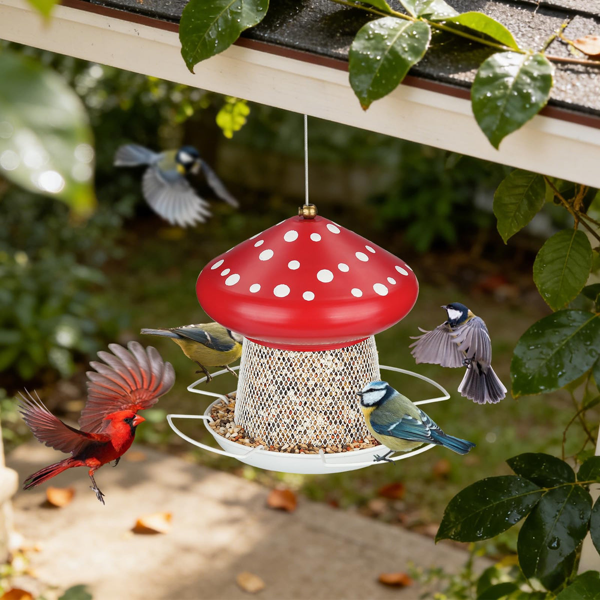 IWNTWY Bird Feeder rust-proof finish extends outdoor longevity.