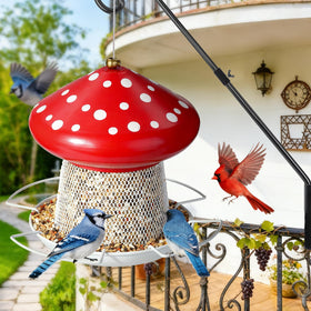 IWNTWY Bird Feeder capacity up to 3 pounds of seed.