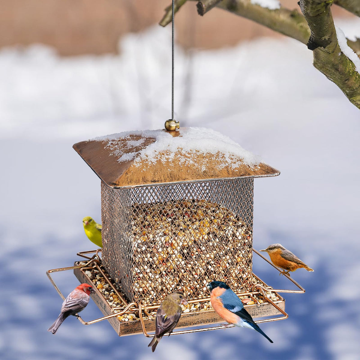 IWNTWY sturdy hanging buckle keeps the feeder secure in wind.