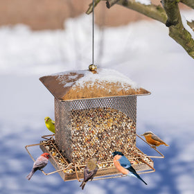 IWNTWY sturdy hanging buckle keeps the feeder secure in wind.