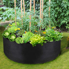 IWNTWY easy setup; unfold, fill with soil, plant