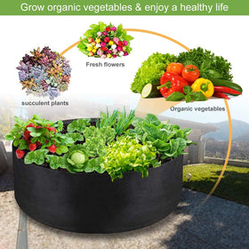 IWNTWY foldable design stores compactly after harvest