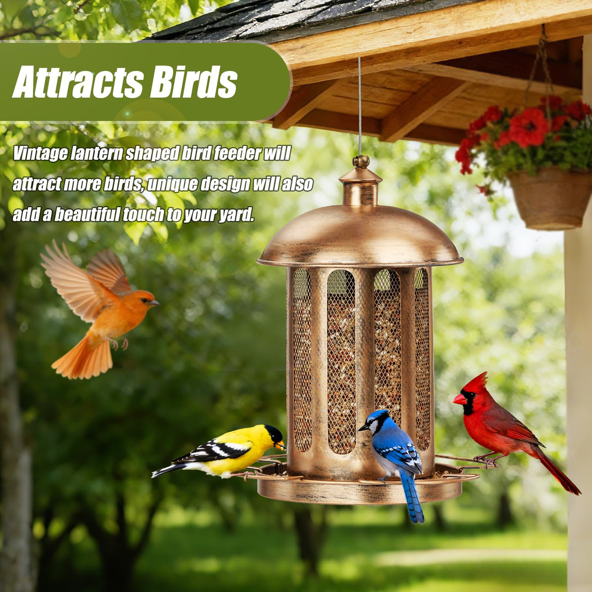 IWNTWY four-perches design supports multiple birds at once.