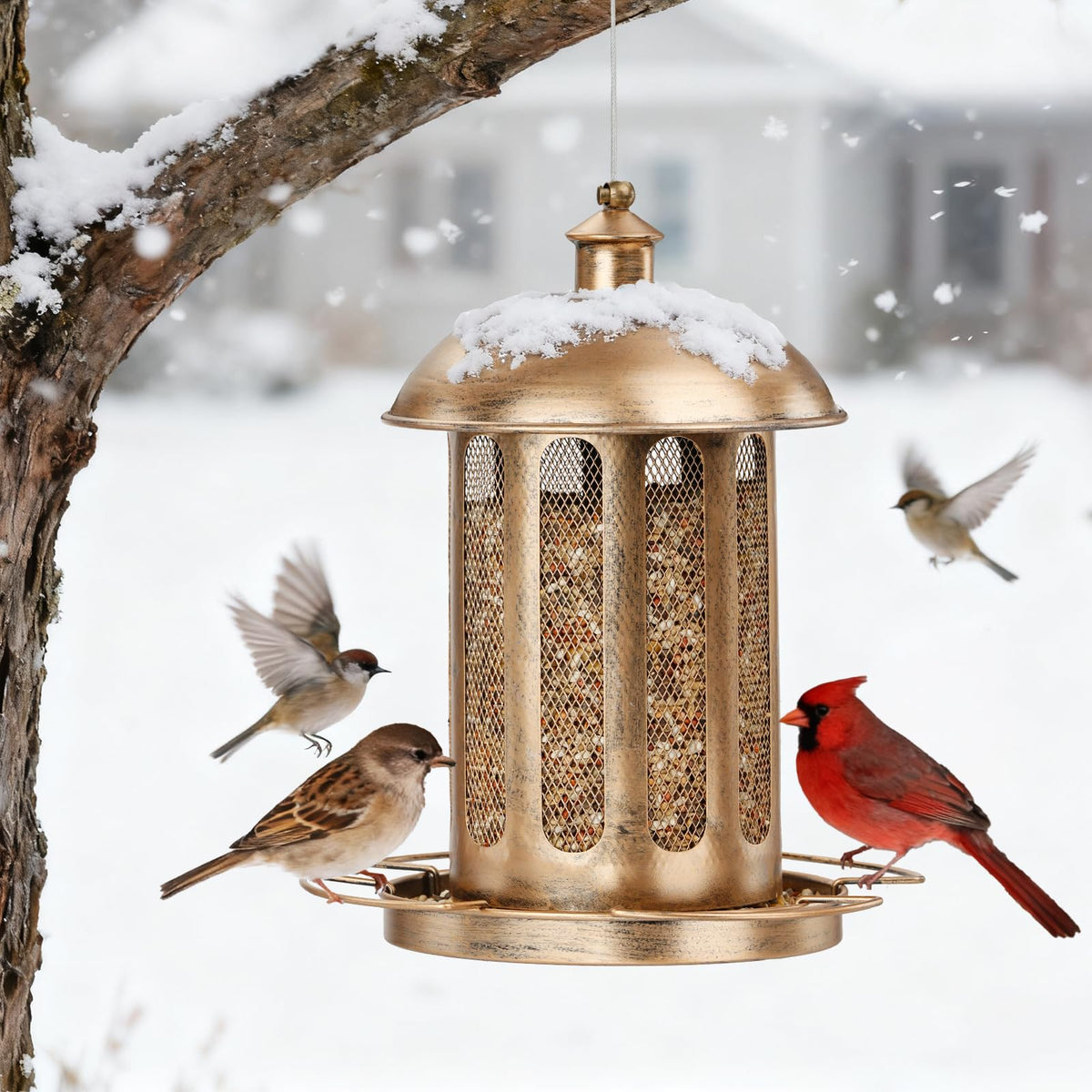 IWNTWY outdoor hanging bird feeder enhances garden decor and viewing.