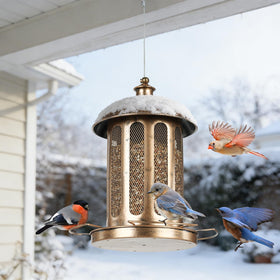 IWNTWY retro lantern-style feeder complements yards and wildlife watching.