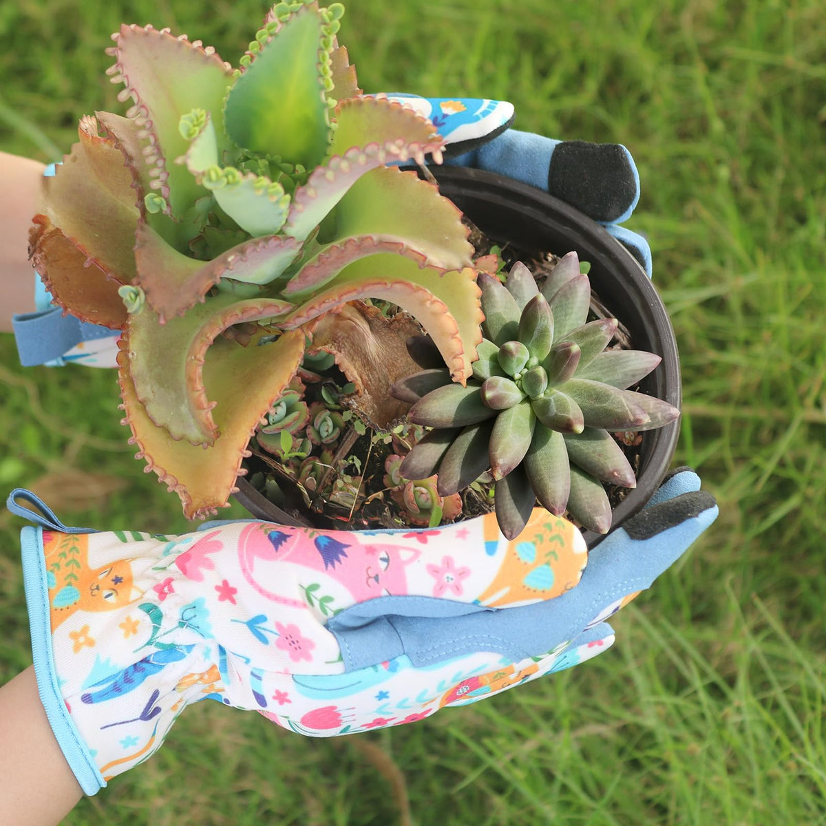IYICLOTH colorful garden gift gloves brighten any gardener's toolkit.