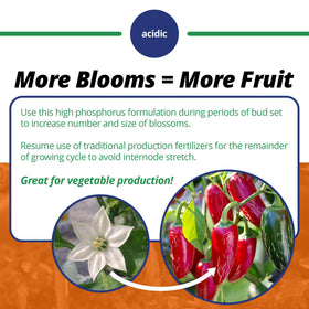 Leaf spray application shows foliar nutrition for vibrant plants.