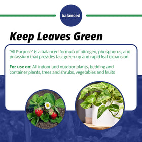 Jack's Classic micronutrients supporting balanced plant growth