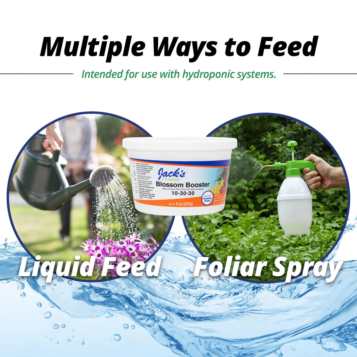 Jack's Classic Blossom Booster helps enhance color and bloom potential in flowering plants