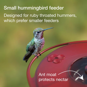 Jacobi Jayne Dishwasher-Safe Feeder; effortless cleaning after outdoor use.