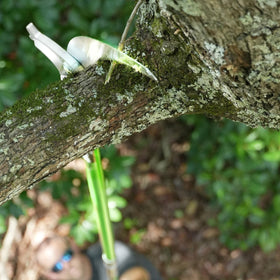 Jameson LS-Series 18-foot reach system enables high branch access.