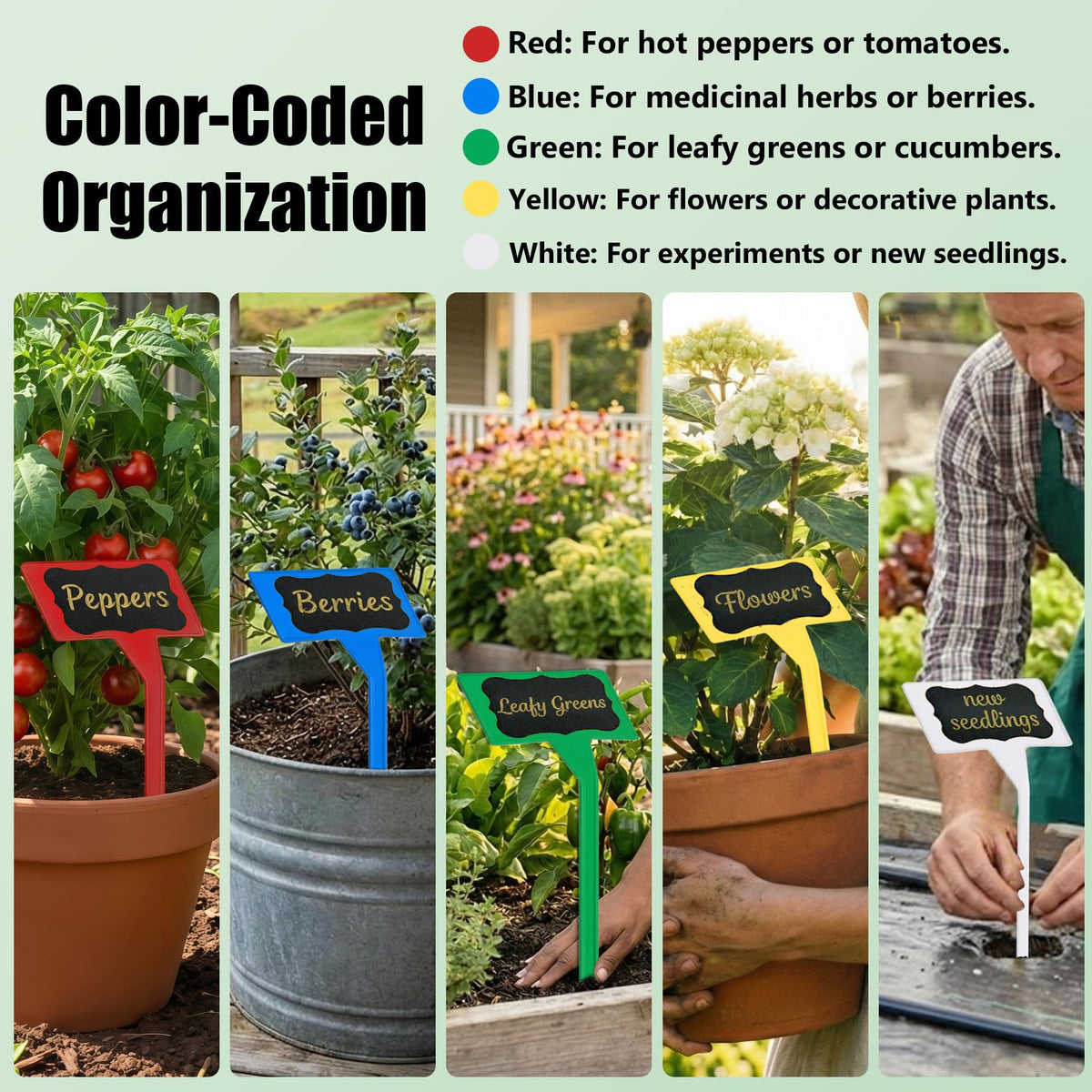 Jammy Joey blue label helps distinguish herbs from vegetables at a glance.