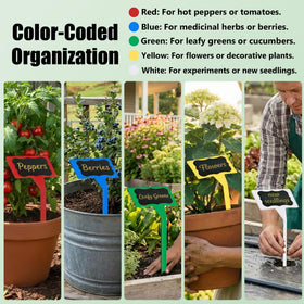 Jammy Joey blue label helps distinguish herbs from vegetables at a glance.