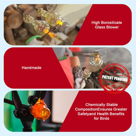 Jarkyfine fish-scale glass surface reflects sunlight to attract hummingbirds