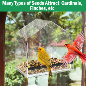 Jarkyfine gift-ready packaging suits bird lovers.