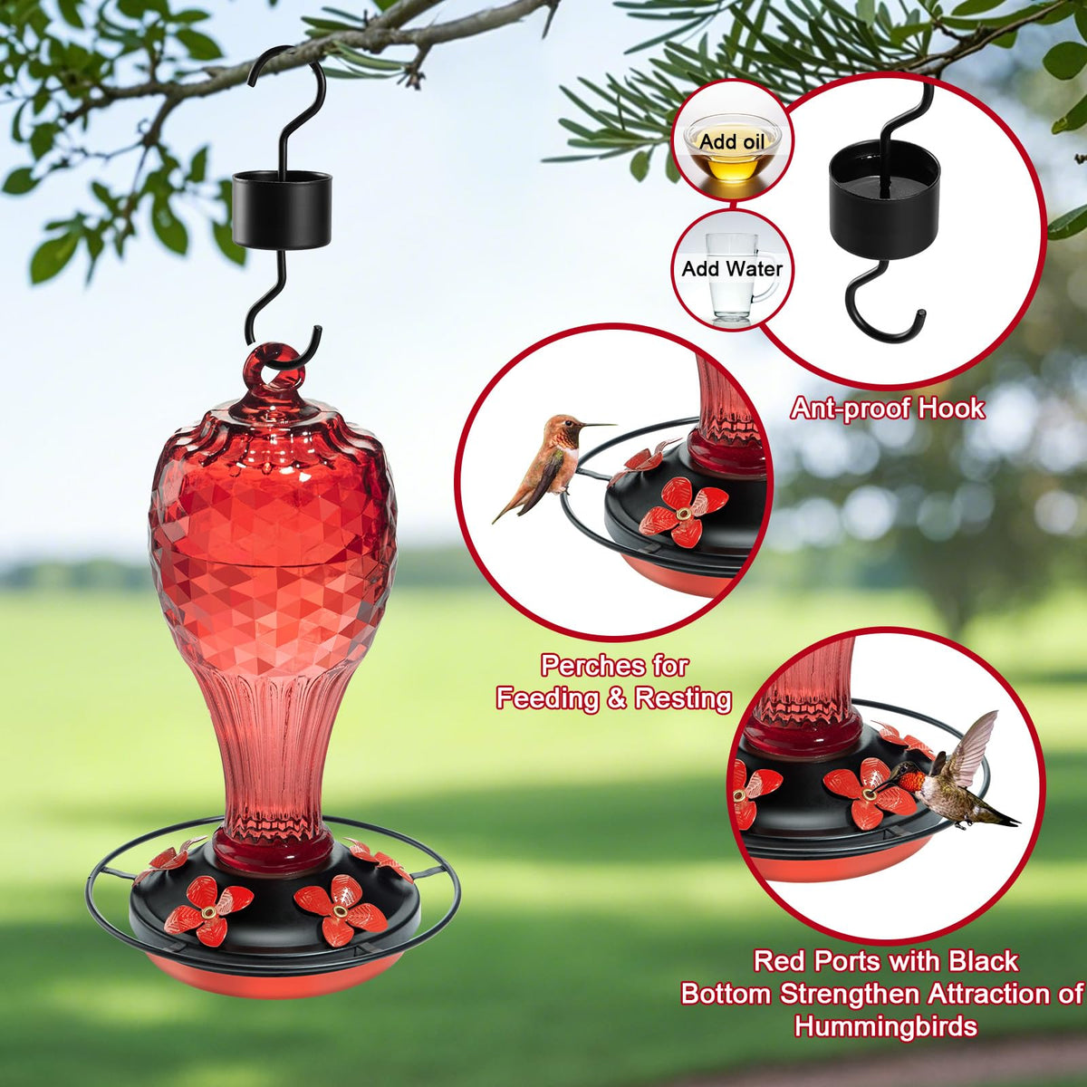 Jarkyfine outdoor hanging feeder mounted on a sunny patio