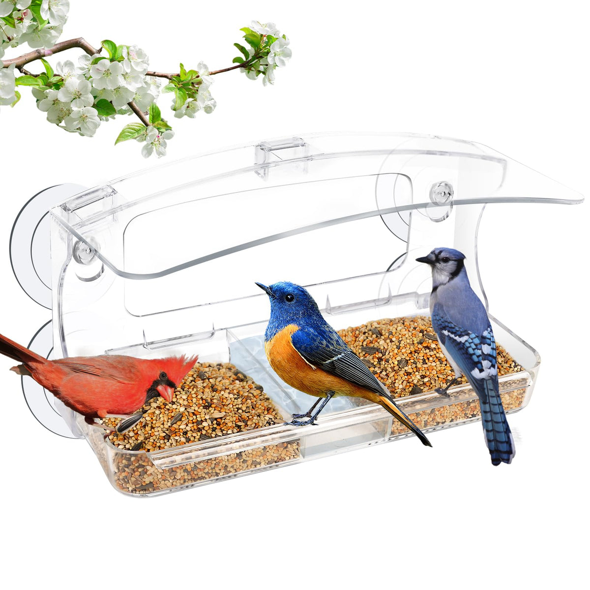 Jarkyfine window bird feeder with a 3-sided perch enabling multi-bird viewing.