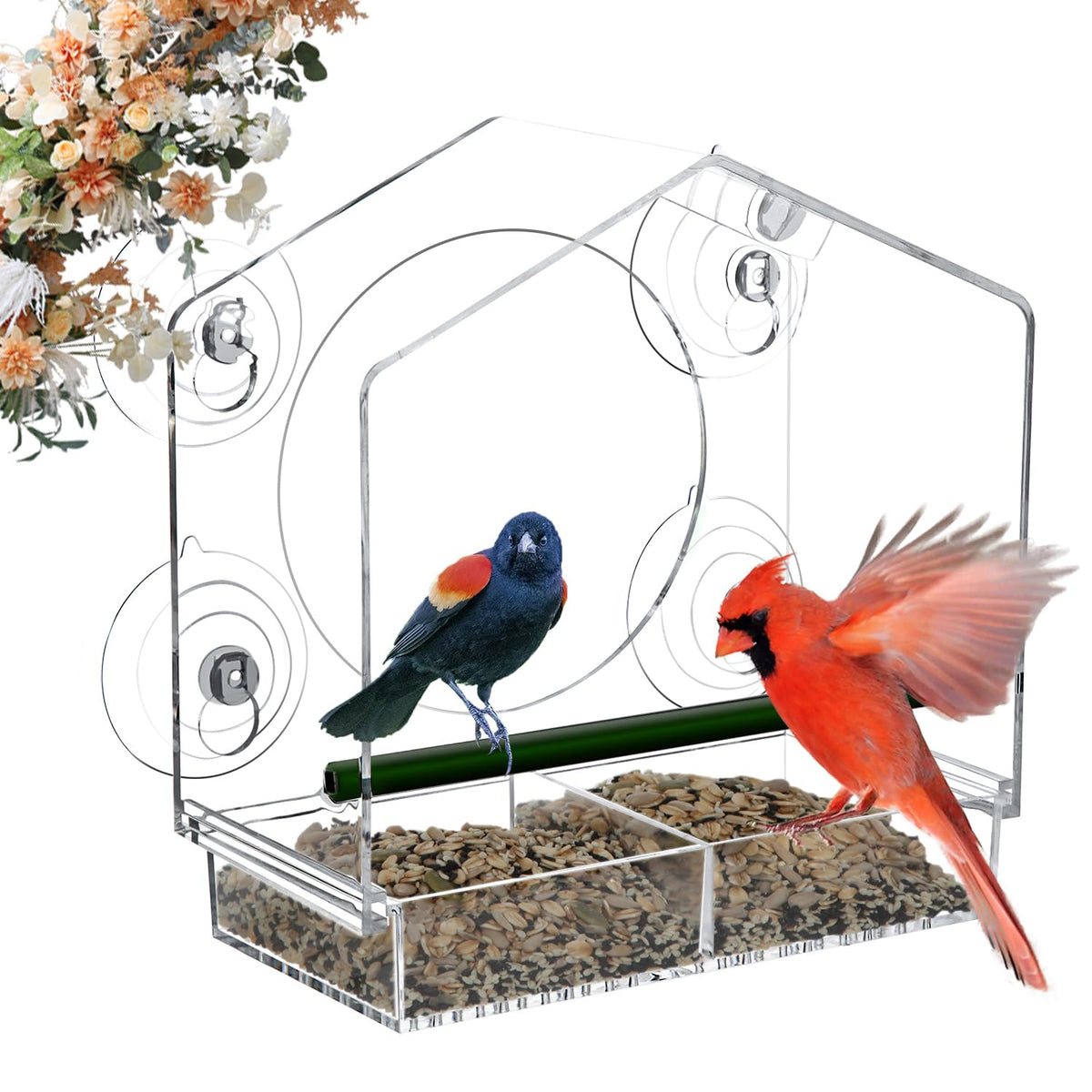 Jarkyfine window bird feeder with four suction cups for sturdy mounting