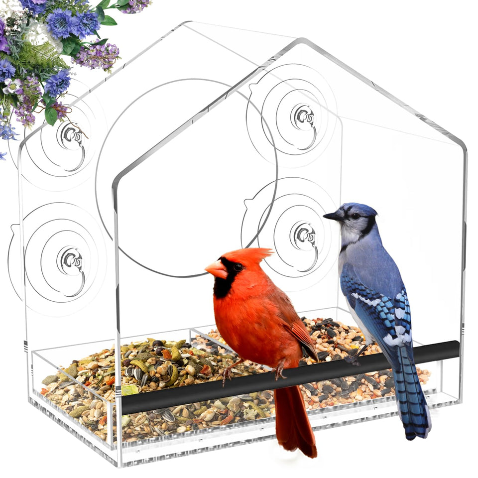 Jarkyfine window feeder with suction cups securing glass attachment for birds