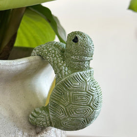 Jarpsiry climbing tortoise pot hugger decor for outdoor pots and fences
