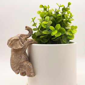 Jarpsiry elephant flower pot hugger on fence adds whimsical garden charm
