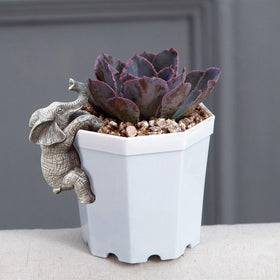 Jarpsiry elephant hanging planter balances plants while adding playful charm
