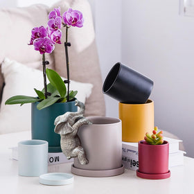 Jarpsiry elephant plant pot decorator porch blends nature and art with ease