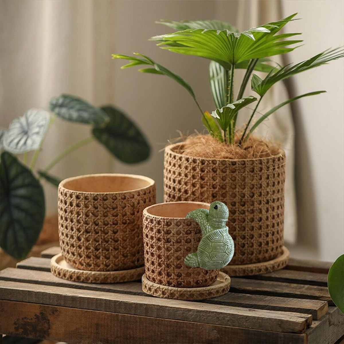 Jarpsiry hanging tortoise statue doubles as a cute starter for greenery