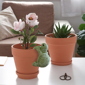 Jarpsiry resin tortoise planter adds charm to balconies and lawns