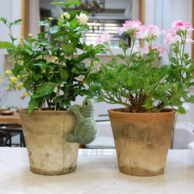Jarpsiry weather-resistant tortoise planter offers low-maintenance garden charm