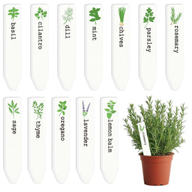 JarThenaAMCS ceramic herb label basil style for clear plant ID.