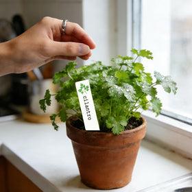 JarThenaAMCS ceramic herb label lavender style adds garden charm.
