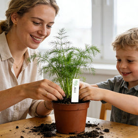 JarThenaAMCS ceramic herb label mint style ideal for containers.