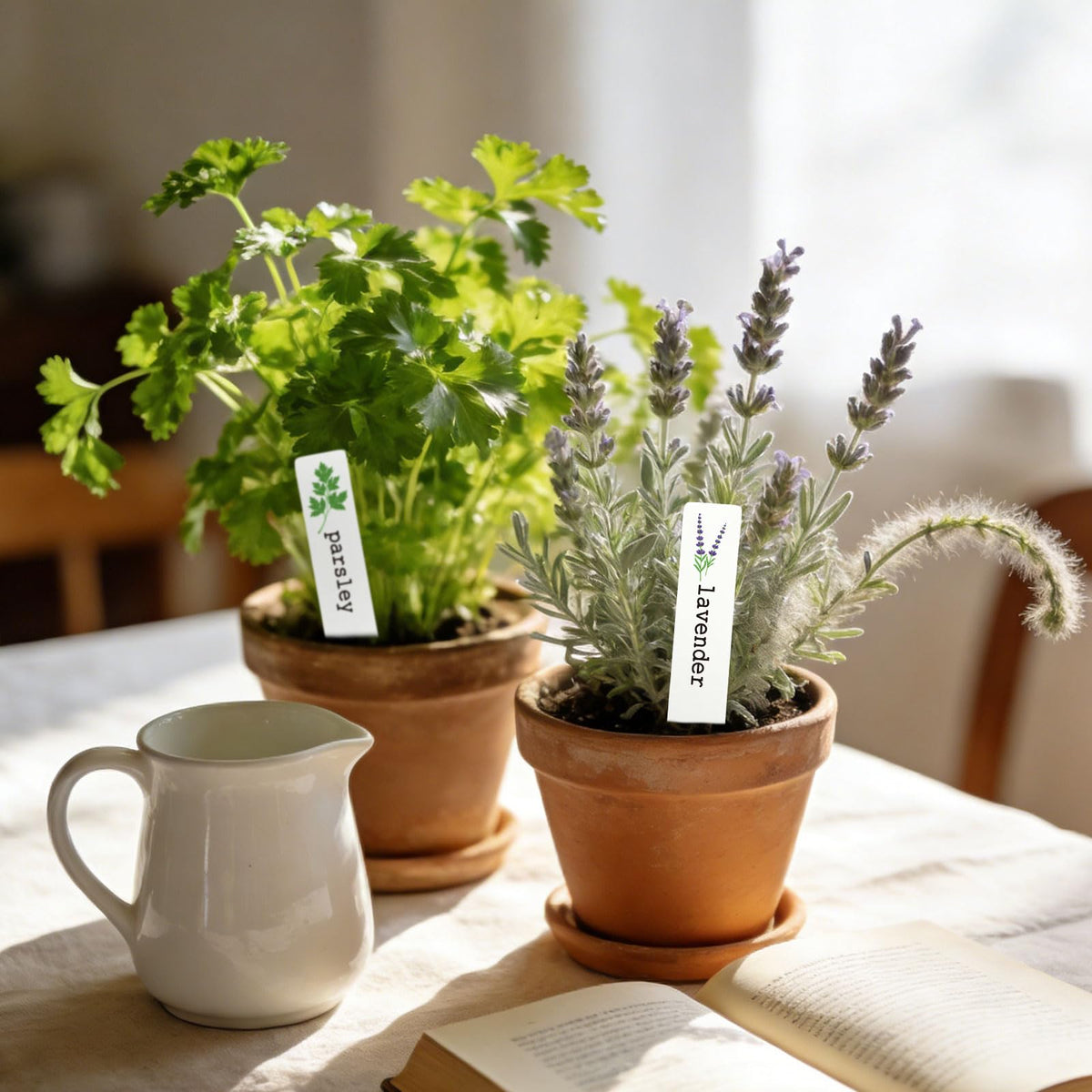 JarThenaAMCS ceramic herb label oregano style boosts garden order.