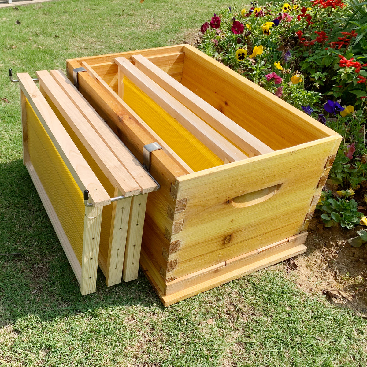 Jashem rust-proof beekeeping tool is built for durable hive frame handling.