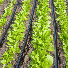 Ideal for garden and greenhouse watering setups with JAYEE