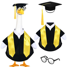 JcHrmers graduation goose cap and gown on porch display, festive and neat