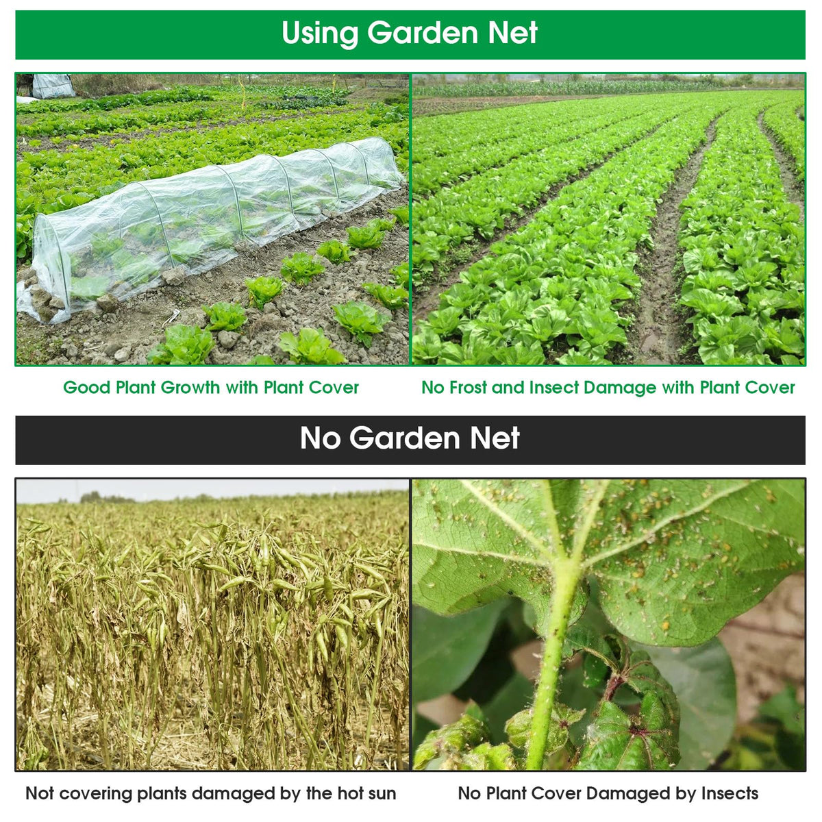 JCKHXG raised-bed protection keeps greens safe from birds and insects.