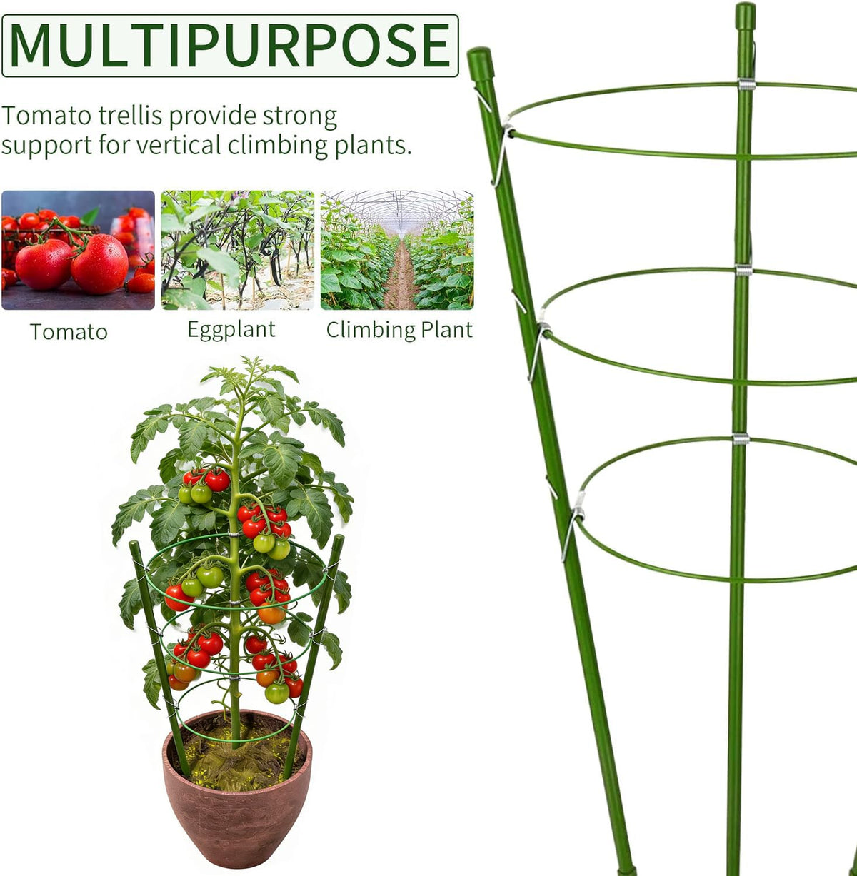 JCKHXG vertical climbing plant support provides open space for pruning and picking.