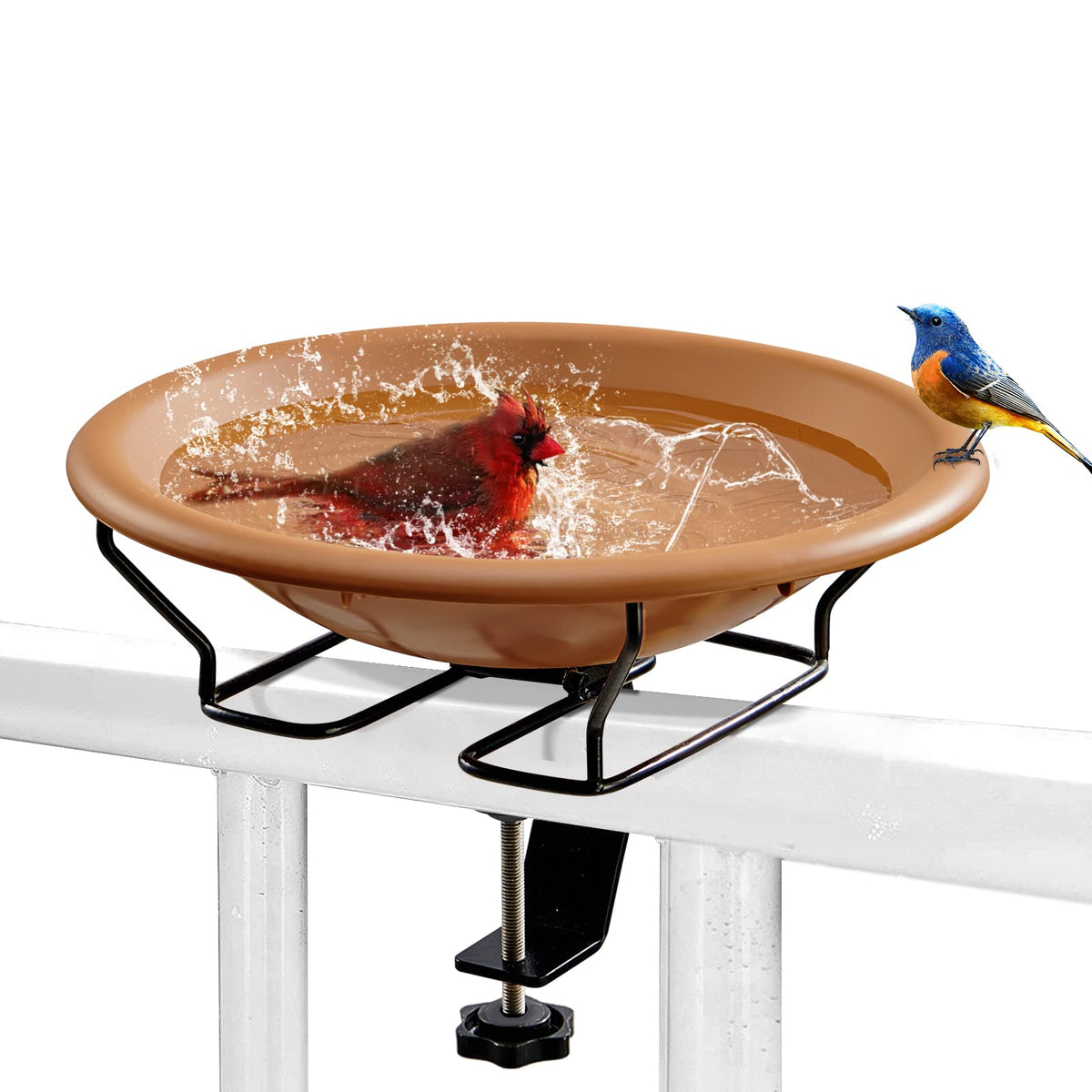 Jealoeur removable bowl and ring enable fast cleaning outdoors