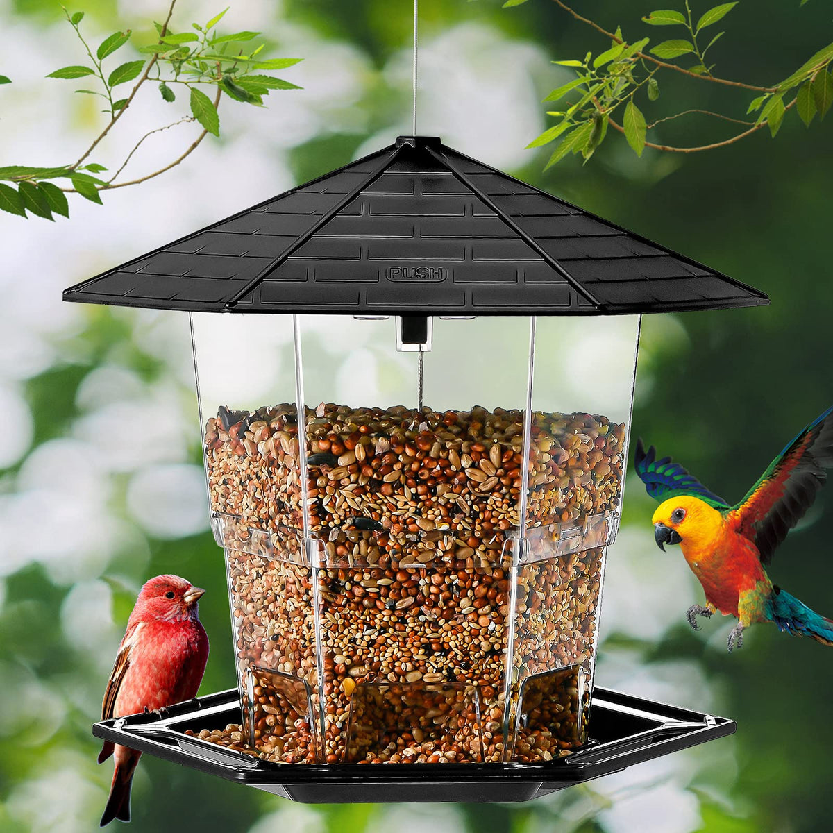 Jealoeur bird feeder hanging ready for garden installation.