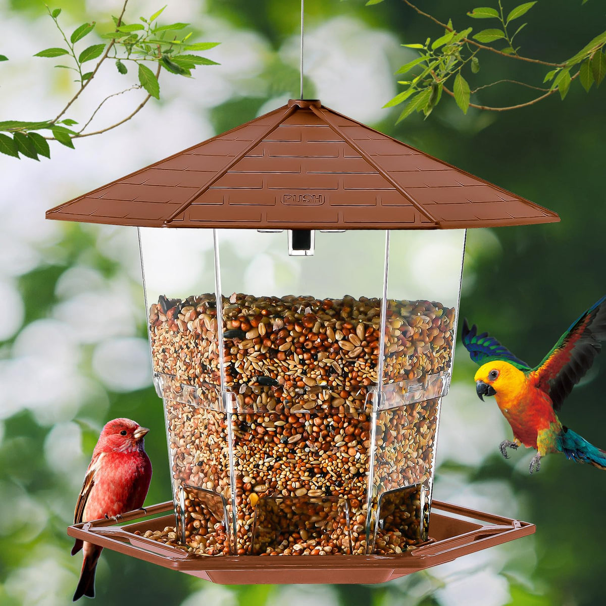 Jealoeur retractable seed storage supports longer feeding in your garden.