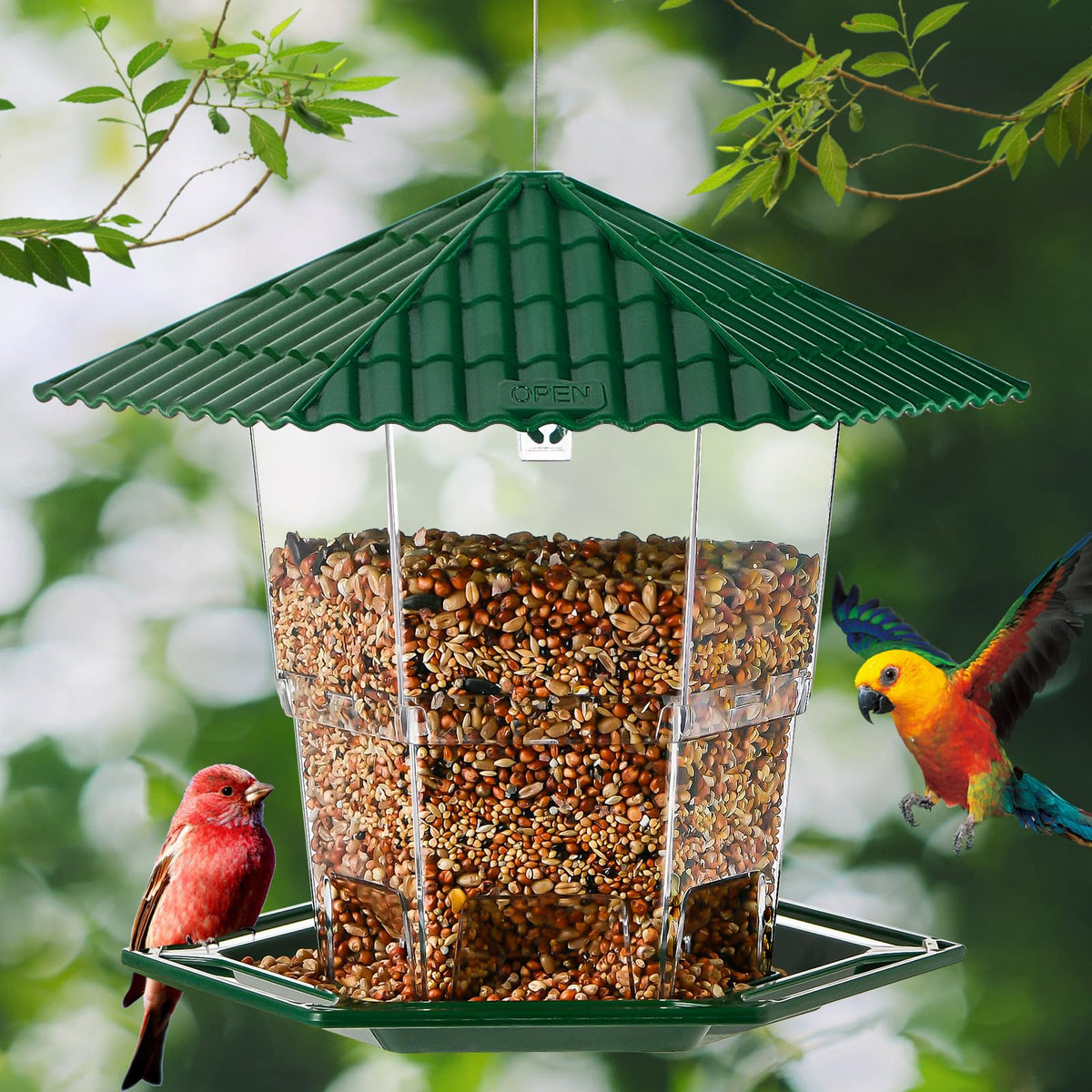 Jealoeur bird feeder two-pack provides versatile options for multiple feeding spots.
