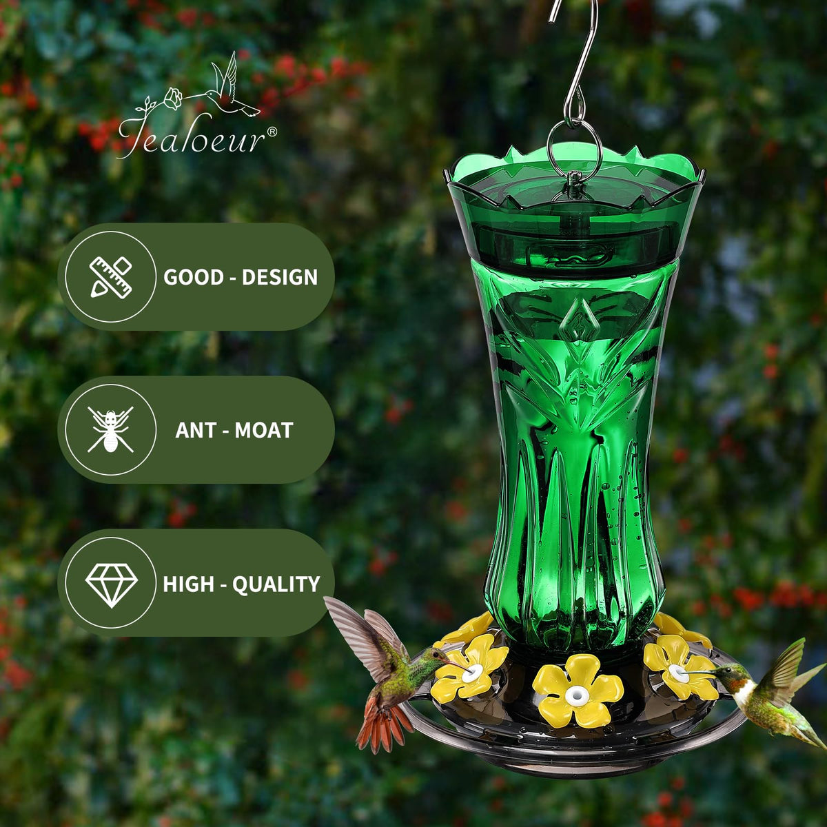 Jealoeur 360-degree view for dynamic backyard observation