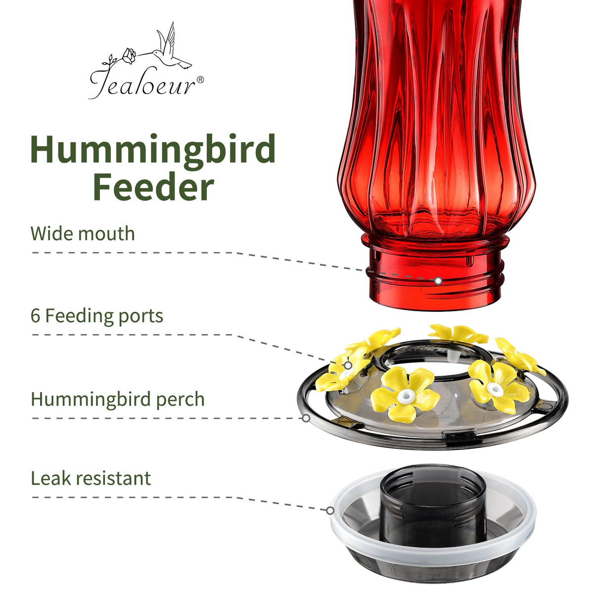 Jealoeur hummingbird feeder diameter 5.9 inches for compact garden display