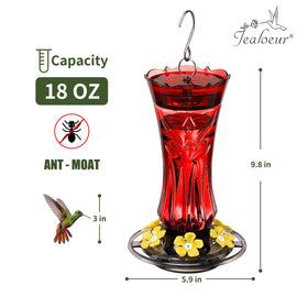 Jealoeur hummingbird feeder with six ports supports multiple birds feeding together